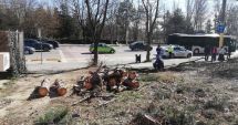 Stire din Eveniment : Constănțenii ies în stradă! Locatarii blocului S6 de pe bulevardul Lăpușneanu protestează împotriva distrugerii spațiilor verzi