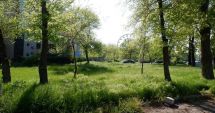 Stire din Politică-Administrație : USR, protest pentru salvarea parcului Tăbăcărie
