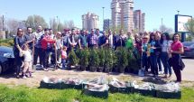 Stire din Politică-Administrație : Social-democrații din Constanța au plantat arbuști în apropierea pasajului subteran de la Gară
