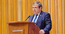 Stire din Politică-Administrație : Senatorul Ștefan Mihu: "Ziua Armatei Române este o zi a demnității naționale"