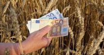 Stire din Economie : Pulsul economiei