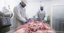 Stire din Economie : Pulsul economiei
