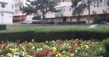 Stire din Social : Fără blocuri turn pe spațiul verde din Tomis II. PUZ-ul a fost anulat definitiv