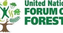 Stire din Social : Radarul Pădurii din România, în atenția Forumului ONU pentru păduri