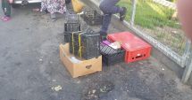 Stire din Eveniment : Razie în Piața Tomis III din Constanța. Vizați sunt comercianții ambulanți