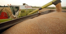 Stire din Economie : Recordurile agriculturii românești