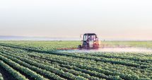 Stire din Economie : Ministrul Adrian Oros: „Decalajele de producţie în agricultura ecologică trebuie să fie reduse la nivelul UE”