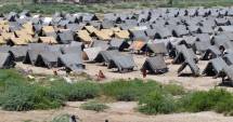 Stire din Actualitate : UE: România ar urma să preia un prim grup de circa 700 de refugiați