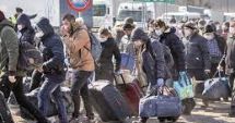 Stire din Economie : Refugiații din Ucraina, ajutați să intre pe piața muncii din UE