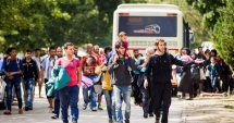 Stire din Actualitate : România, din nou blamată. Ce a declarat CANCELARUL AUSTRIEI despre țara noastră