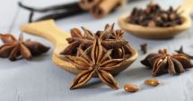 Stire din Sănătate : Plante medicinale care vă ajută să vă mențineți bronhiile în formă