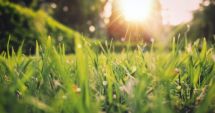 Stire din Social : Ziua Mondială a Meteorologiei, sărbătorită şi în acest an