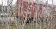 Stire din Economie : Rețeaua feroviară portuară trebuie trecută în administrarea CNAPMC!