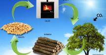 Stire din Economie : Reuniune dedicată bioenergiei și biomasei