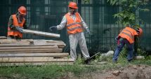 Stire din Social : Cum demonstrați că ați lucrat undeva, dacă s-a pierdut baza de date Revisal