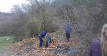Stire din Cultură-Educație : Rezervația Fântânița, ecologizată de liceenii din Murfatlar