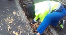 Stire din Social : Risc de inundații,  la Constanța. Primăria curăță rigolele