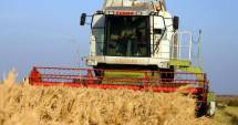Stire din Economie : România urcă în topurile agricole europene