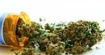 Stire din Eveniment : Controversa cannabis! De ce trag constănțenii "iarbă"