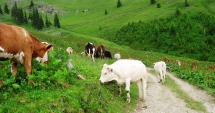 Stire din Economie : România se confruntă  cu două amenințări foarte grave