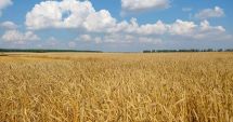 Stire din Economie : România are un nivel excepţional la recolta din acest an