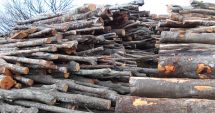 Romsilva va asigura furnizarea lemnului de foc