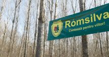 Stire din Social : Fechet vrea restructurări la Romsilva: „Când devii ministru al Mediului, ești sfătuit să nu te cerți cu vânătorii și pădurarii”