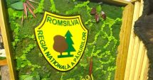 Stire din Actualitate : După scandalul primelor uriașe, conducerea Romsilva este invitată la Comisia pentru mediu din Camera Deputaţilor