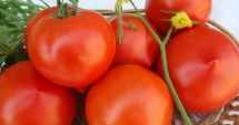 Stire din Sănătate : Roşiile conţin o mulţime de nutrienţi şi antioxidanţi