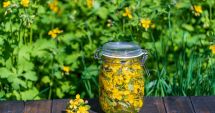 Stire din Sănătate : Rostopasca poate reduce severitatea refluxului gastroesofagian