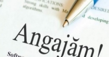 Stire din Social : Ești în căutarea unui loc de muncă? Sunt mii de posturi vacante