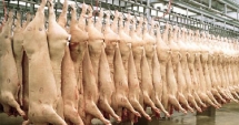 Stire din Economie : S-a aprobat sprijinul financiar pentru depozitarea privată a cărnii de porc