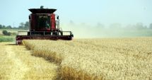 Stire din Economie : S-a dat startul campaniei de recoltare a orzului și orzoaicei