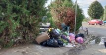 Stire din Social : Sancţiuni pentru persoanele care aruncă gunoiul pe domeniul public