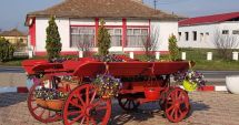 Stire din Politică-Administrație : Parcul din comuna Saraiu, îmbrăcat în „straie” de sărbătoare