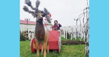 Localnicii din Saraiu sunt invitaţi în „Parcul lui Moş Crăciun”