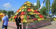 Stire din Politică-Administrație : Consiliul Județean, pregătiri pentru "Sărbătoarea Recoltei și a Vinului Dobrogean"