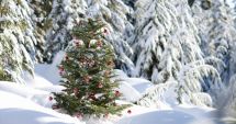 Stire din Social : Prognoza meteo pentru următoarele patru săptămâni. Cum va fi vremea de Sărbători