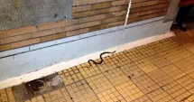 Stire din Eveniment : Apariție șocantă la metrou. Un șarpe a fost filmat în tunel