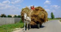Stire din Fun : Să vină șeful!