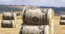 Stire din Economie : Schimbări majore  în plata ajutoarelor  de stat din agricultură