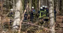 Stire din Actualitate : Trei victime, printre care un bebeluș, după ce un copac s-a prăbușit peste grup