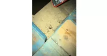 Stire din Social : Descoperiri alarmante într-un club frecventat din Constanța! Ce au descoperit inspectorii