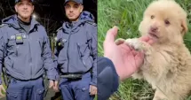 Stire din Eveniment : Misiune specială la Siliștea. Polițiștii au salvat doi câini abandonați