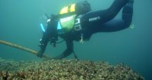 Stire din Social : Scufundări gratuite la vestigiile subacvatice din Marea Neagră