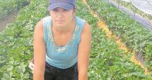 Stire din Social : Joburi în străinătate. Se caută muncitori în agricultură