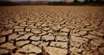 Stire din Social : ANM. Informare meteo de SECETĂ EXTREMĂ în Dobrogea