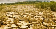 Stire din Economie : Cea mai severă secetă din ultimul secol a distrus 30% din producție la culturile de toamnă și 70% la pomii fructiferi timpurii