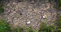 Stire din Actualitate : România se usucă. 2022 este cel mai secetos an din istorie