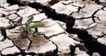 Stire din Social : UN FENOMEN EXTREM LOVEȘTE ROMÂNIA / Anunțul meteorologilor